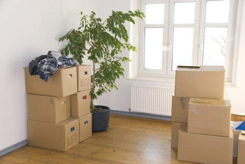 Professional removalists helping move a household